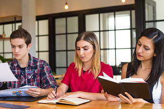 International professional working in Canada and preparing for permanent residence through the Canadian Experience Class